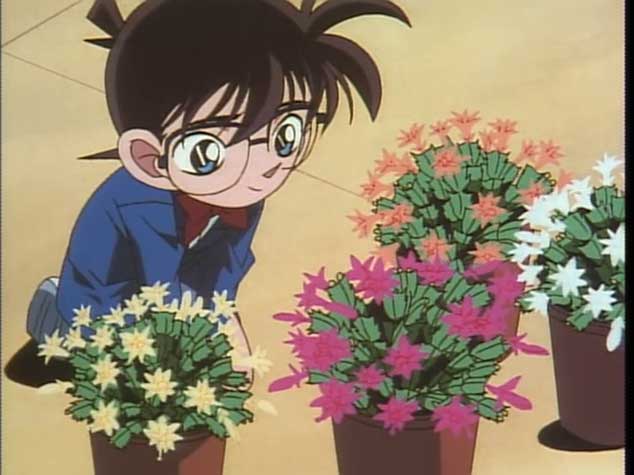 conan_christmas_cactus.jpg