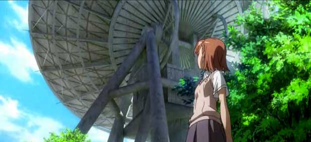 misaka_tree_diagram_facility.jpg