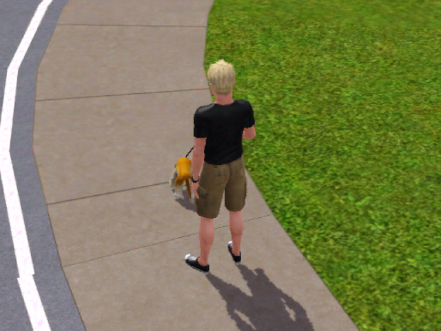 walk.jpeg